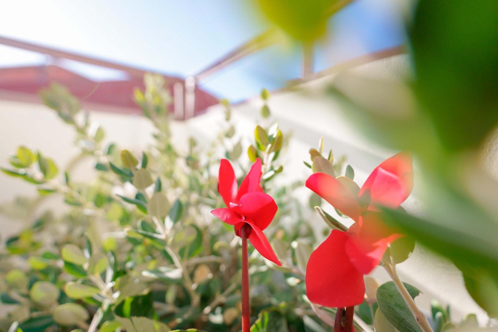 Guest House Deidda - Ts Rooms B&B San Sperate Exterior foto